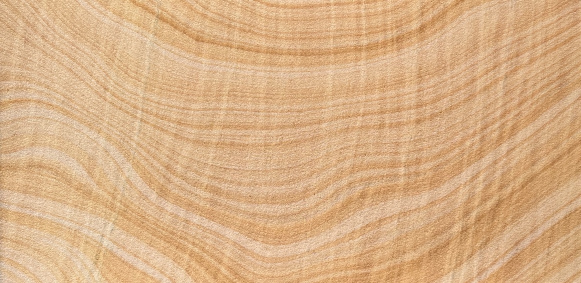 AMBER VEIN
